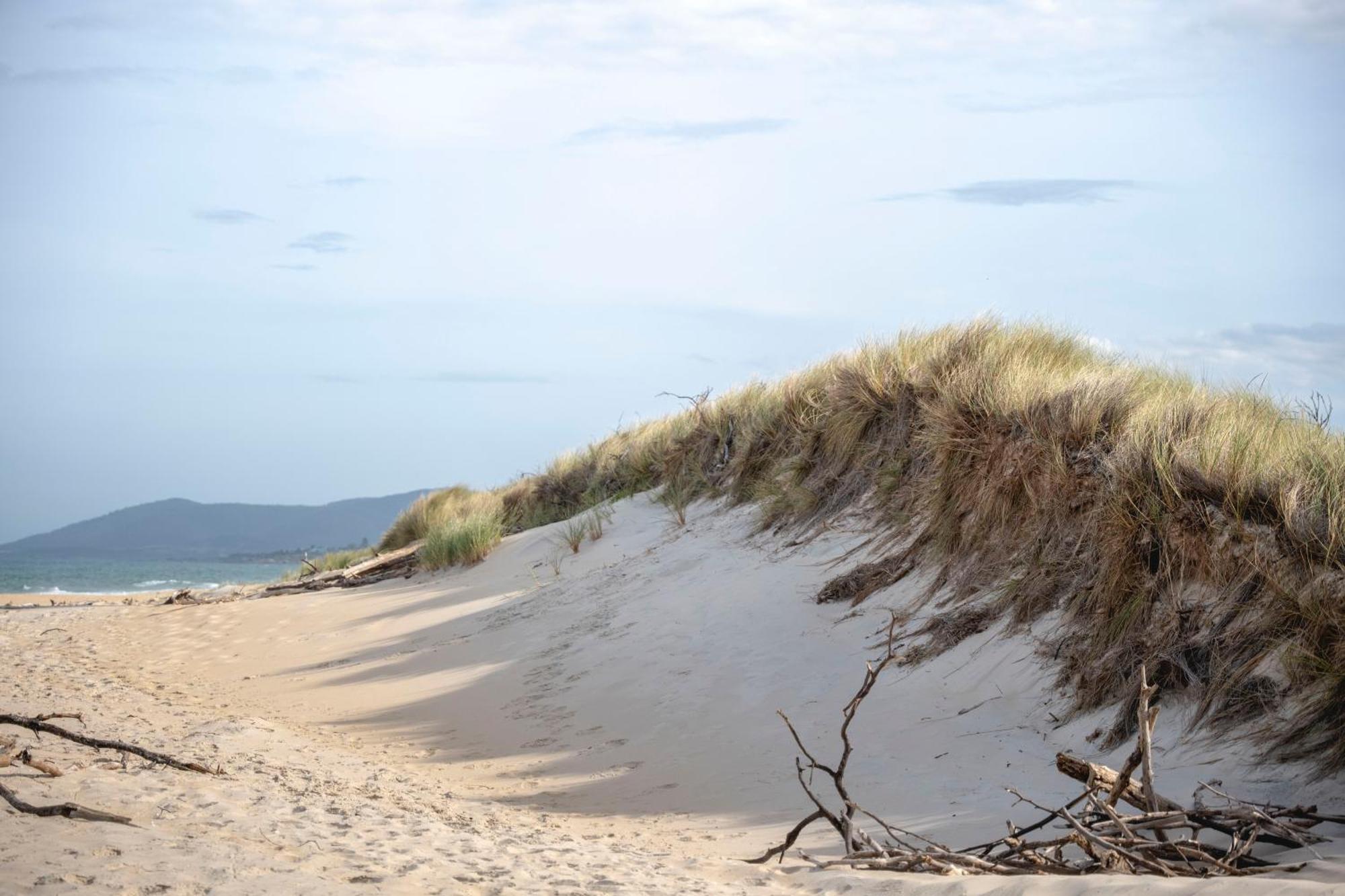 Blue Seas Holiday Villas Scamander Kültér fotó
