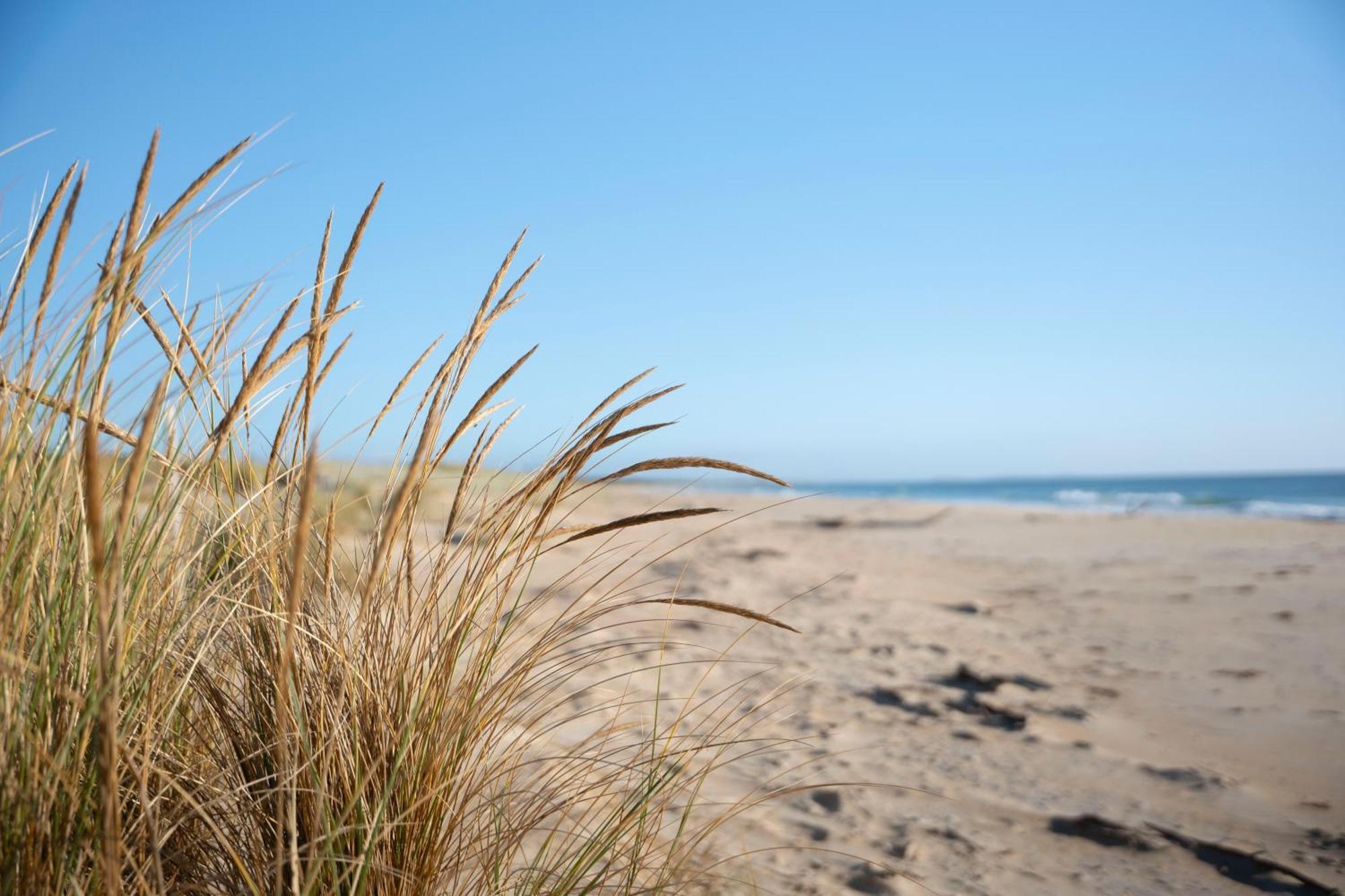 Blue Seas Holiday Villas Scamander Kültér fotó