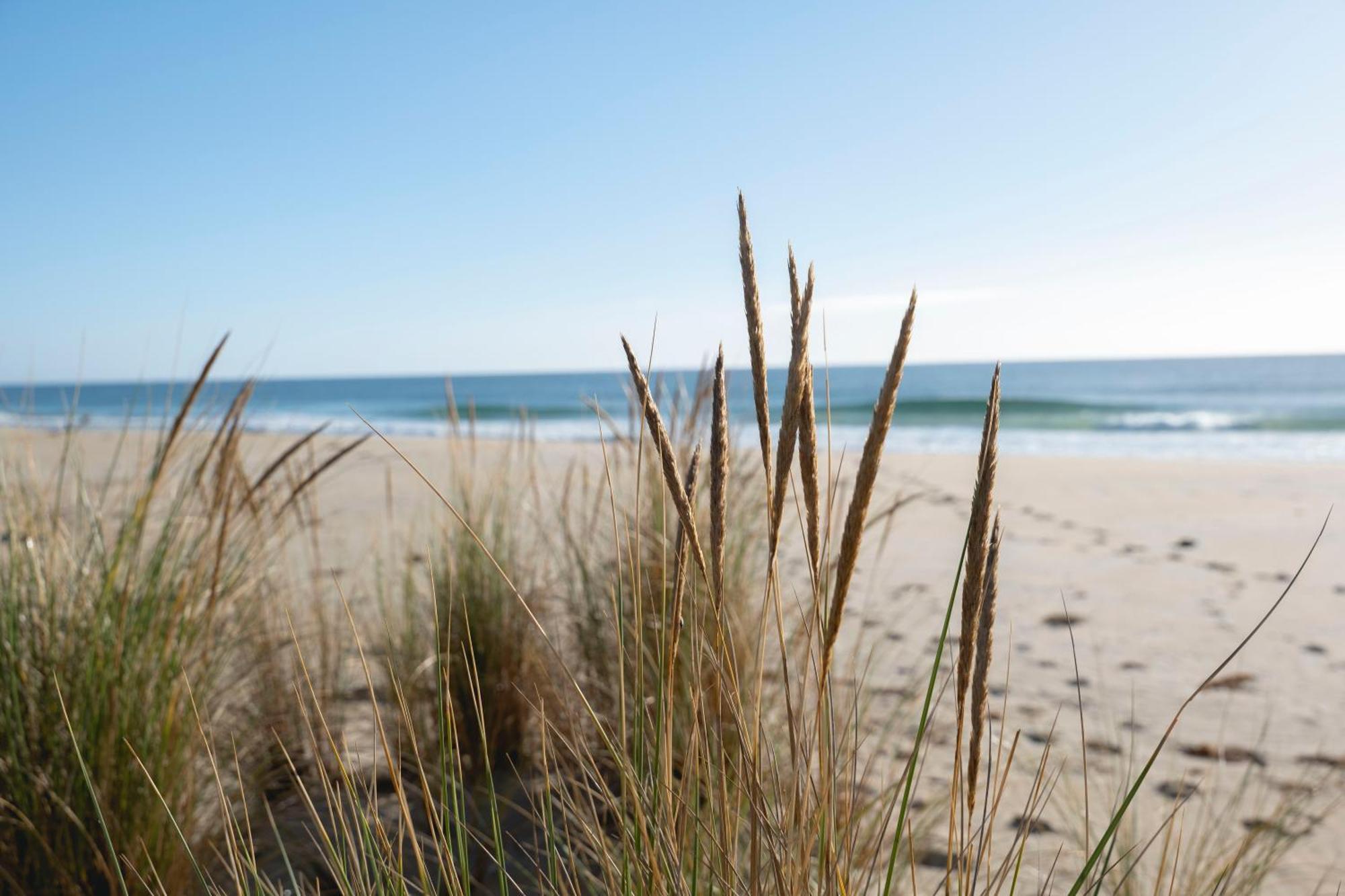 Blue Seas Holiday Villas Scamander Kültér fotó